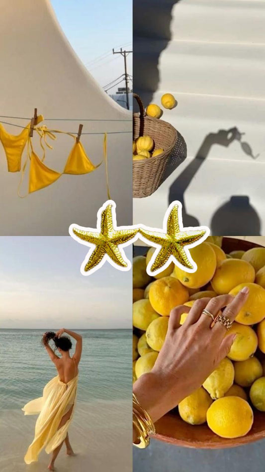 Star Fish Inspired Earring