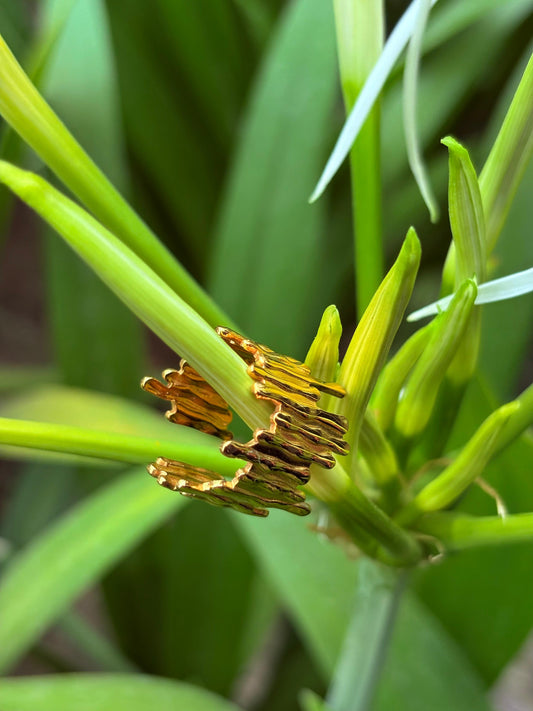 Auric Branches Ring